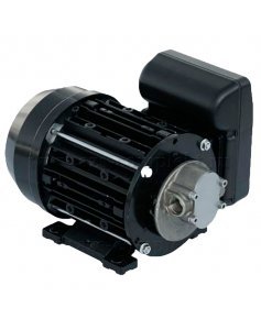 Насос для масла, дизтоплива и некоррозийных жидкостей, 220 Вольт, Piusi GARDA 5 220V