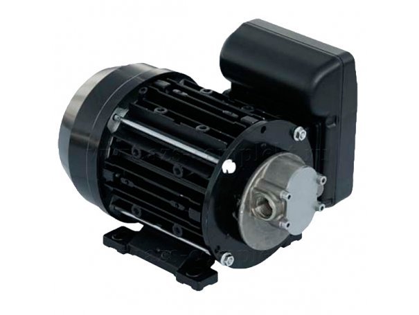 Насос для масла, дизтоплива и некоррозийных жидкостей, 220 Вольт, Piusi GARDA 5 220V Насос для масла, дизтоплива и некоррозийных жидкостей, 220 Вольт, Piusi GARDA 5 220V