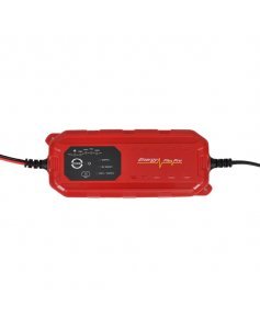Устройство постоянного заряда Lemania Energy LEM1270